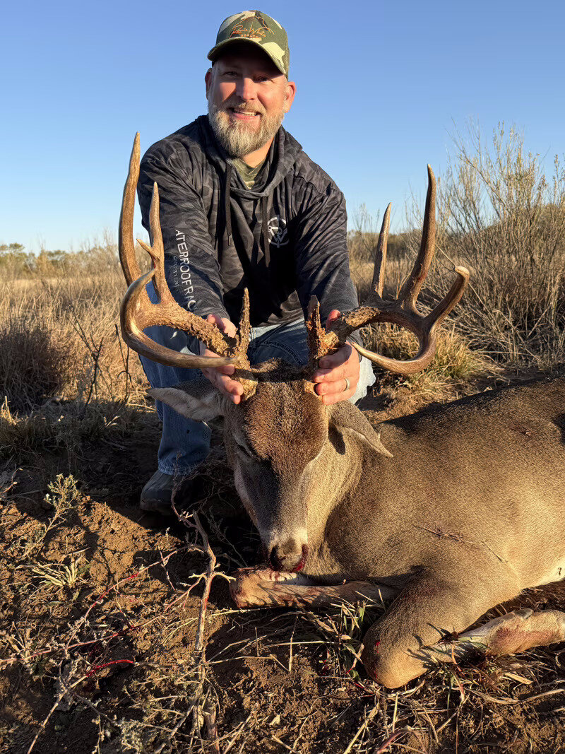 Free-range whitetail buck in the West Texas brush country