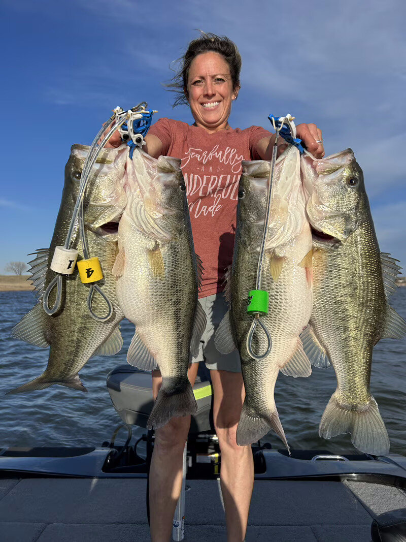 Stringer of West Texas largemouth bass from a Lake Champion trip