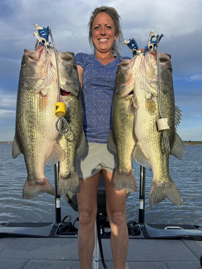 Four healthy bass on Lake Champion near Colorado City