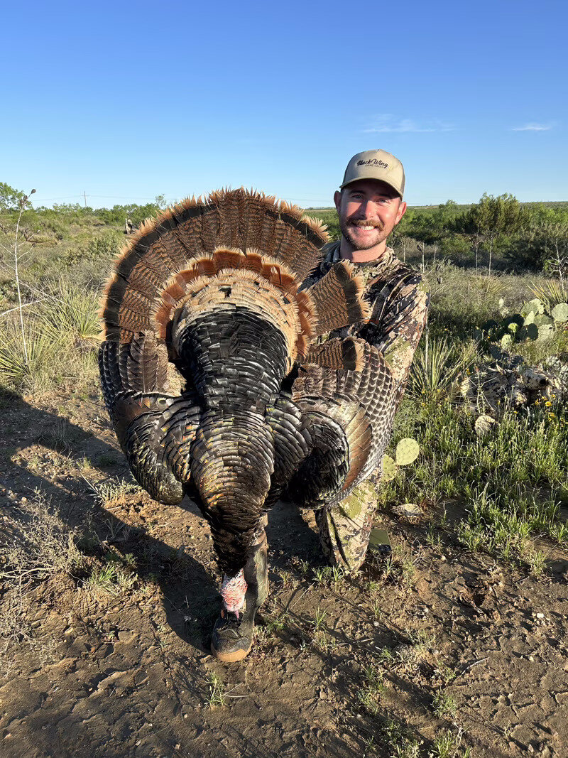 Rio Grande Turkey hunt
