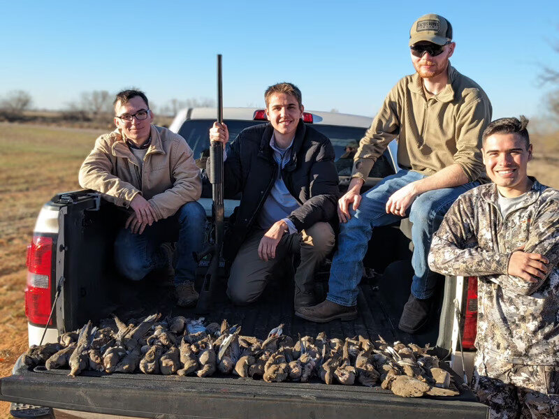 Dove Hunts hunt