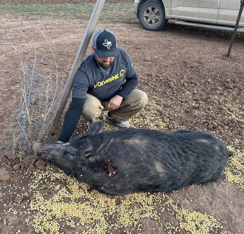 Thermal Hog & Predator hunt