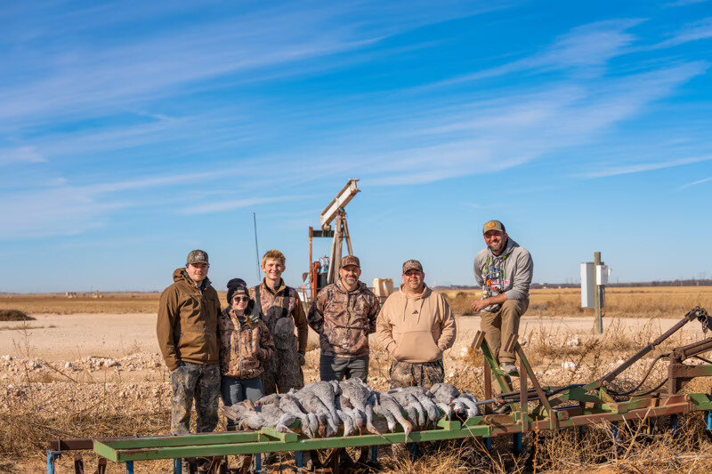 Sandhill cranes lined up in front of a pumpjack