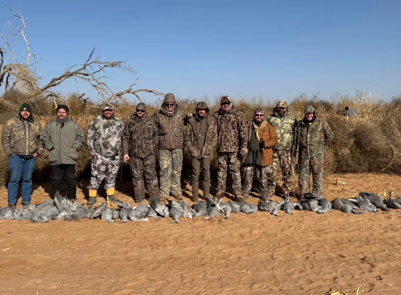 Hunters with a row of sandhill cranes on red sand