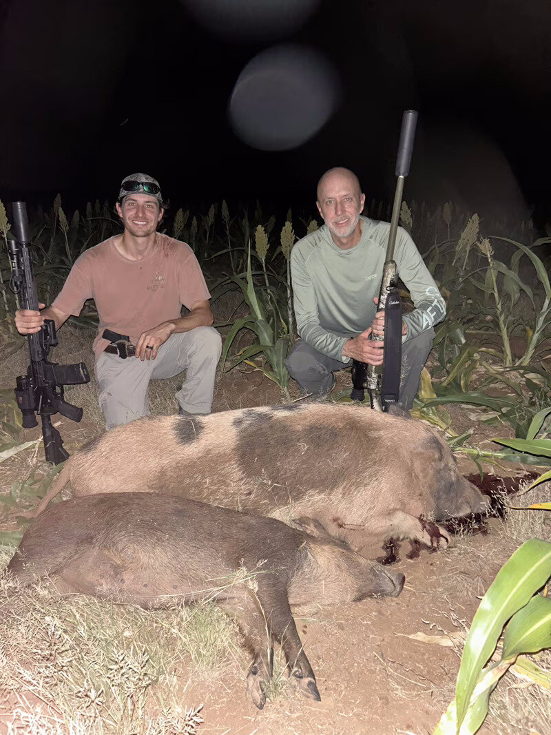 Thermal night hunt with AR and a pair of hogs in the corn